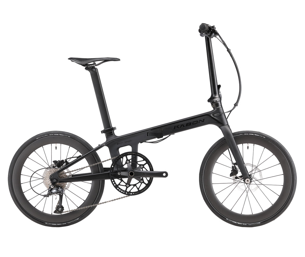 Carbon Fiber Folding Bike