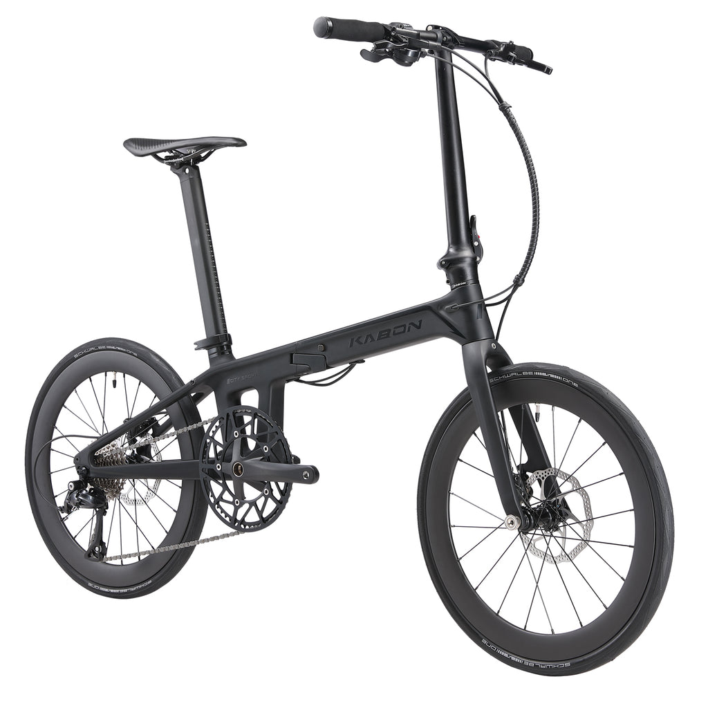 Carbon Fiber Folding Bike
